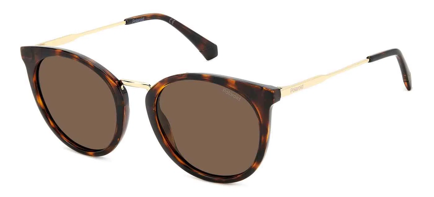 Polaroid Core PLD4146 Eyeglasses - view 7